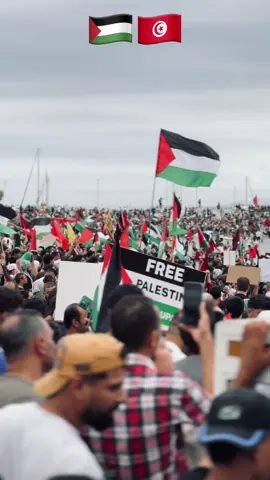 🇵🇸Free Palestine 🇵🇸