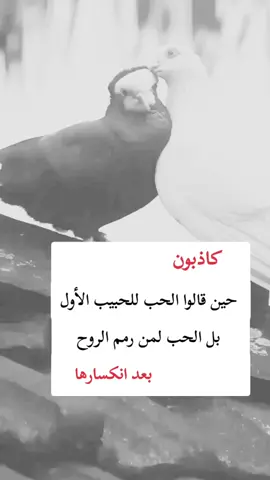 #اكسبلور 