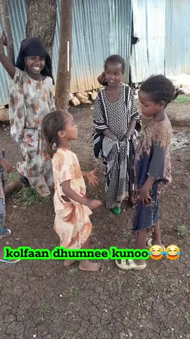 #creatorsearchinsights #kolfaa   miidyaa#😂😂😂 #ethiopian_tik_tok🇪🇹🇪🇹🇪🇹🇪🇹 