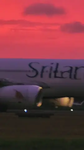 අපේ හවස්වරු 🥹✈️    #bandaranayaka_international_airpoart #srilankanairlines #airport #aerodromefirefighting #srilankanaviation  📷 Nadun 