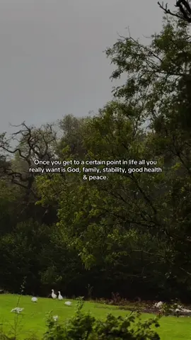 #motivation #motivationalvideo #lifequotes #motivationalquotes #quoteasthetic 