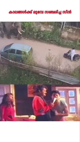 കാലങ്ങളൊക്കെ മുന്നേ സഞ്ചരിച്ച സീൻ 😂#aanapremi #sujithsoman1991 #ആനപ്രേമി #aanapranthan #aanakambam 