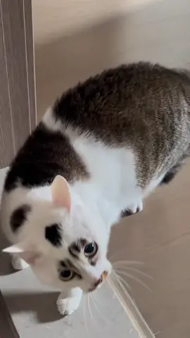 ไหนๆก็ชอบแปลกๆละ ขอลงที่เก็บไว้ละกัน😹