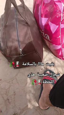 #الشعب_الصيني_ماله_حل😂😂 #شلفاوة_والحلاوة🔥_وtiktok #شلفاوة_والحلاوة🔥 #الجيش_الوطني_الشعبي🇩🇿🇩🇿💪♥️ #تمنراست_عين_صالح_اليزي_جانت 