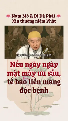 Chúng ta đọc kinh này, đây là Đức Phật Thích Ca Mâu Ni giới thiệu cho chúng ta về thế giới tây phương Cực Lạc của Phật A Di Đà. Không có gì khác, thế giới của ngài không khác gì thế giới chúng ta, chỉ là cư dân ở đó tiếp thu giáo huấn của Phật A Di Đà, mọi người đều được dạy rất tốt, mỗi người đều là thiện nhân. Không những là thiện nhân, mà còn là thượng thiện, thiện đến tột đỉnh, người người đều là thiện nhân. Vì thế chiêu cảm nên sơn hà đại địa tốt đẹp an lành như thế, vượt lên tất cả các thế giới, là con người vượt lên. Vì sao con người thiện, sơn hà đại địa trở nên tốt đẹp? Nhân tâm bất thiện nó trở thành xấu? Điều này trong kinh điển đại thừa thường nói, trong kinh điển nói hai câu chúng ta cần phải ghi nhớ: “tướng do tâm sanh, cảnh tùy tâm chuyển”. Cảnh là môi trường chúng ta sống, môi trường sống thay đổi tùy theo tâm chúng ta. Đừng tưởng rằng cây cỏ hoa lá, sơn hà đại địa đều vô tri, như vậy là sai. Nó biết nhìn, nó biết nghe, nó hiểu ý con người chúng ta. Ý niệm chúng ta thiện nó sẽ thiện, ý niệm ta bất thiện nó cũng bất thiện. Vấn đề này mười mấy năm trước, tiến sĩ Giang Bổn Thắng người Nhật làm thí nghiệm nước, nước là khoáng vật. Thí nghiệm cho thấy nước biết nhìn, biết nghe, hiểu được ý người. Thân thể con người chúng ta 75% là nước, tâm tình chúng ta với toàn bộ thân thể sẽ có biến hóa. Tâm tình không tốt, gây nên thân thể nhiều bệnh tật, tật bệnh từ đây sinh ra. Người từ sáng đến tối luôn hoan hỷ họ không sanh bệnh, pháp hỷ luôn sung mãn, tế bào của họ đều an vui. Nếu ngày ngày mặt mày u sầu, tế bào liền mang độc bệnh. Cùng một đạo lý này, sơn hà đại địa chuyển biến theo tâm niệm chúng ta. Khi ta hoàn toàn hiểu rõ chân tướng sự thật sẽ biết, là phúc hay là họa, là thiện hay là phước của toàn thể vũ trụ này đều là tự làm tự chịu. Không thể trách người khác, không có ai chi phối cả, là ý niệm chính mình đang chi phối. Một niệm thiện không có gì không thiện, một niệm ác không có gì không ác, đều do ý niệm, bởi thế giáo dục rất quan trọng. Trích Tịnh Độ Đại Kinh Giải Diễn Nghĩa - Tập 234 Chủ giảng: Tịnh Không Pháp Sư #phapsutinhkhong #hoathuongtinhkhong #tinhkhongphapsu #pstinhkhong #tinhdodaikinhgiaidiennghia 