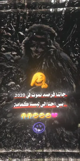 #صوت #مشاهير_تيك_توك #عبارات_جميلة_وقويه😉🖤 