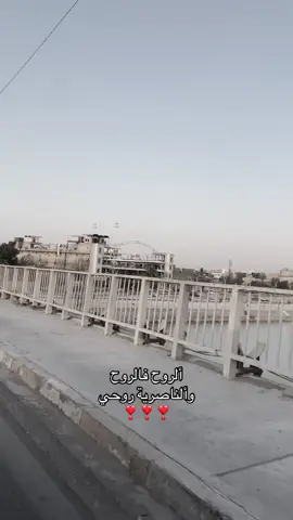 #ناصريه #ناصرية 