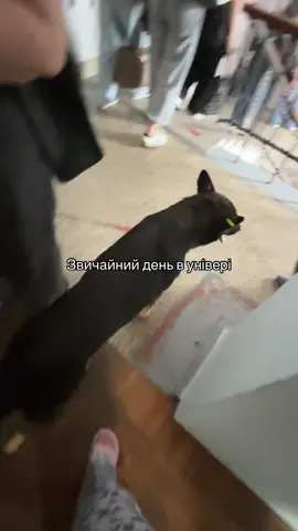 #університет 