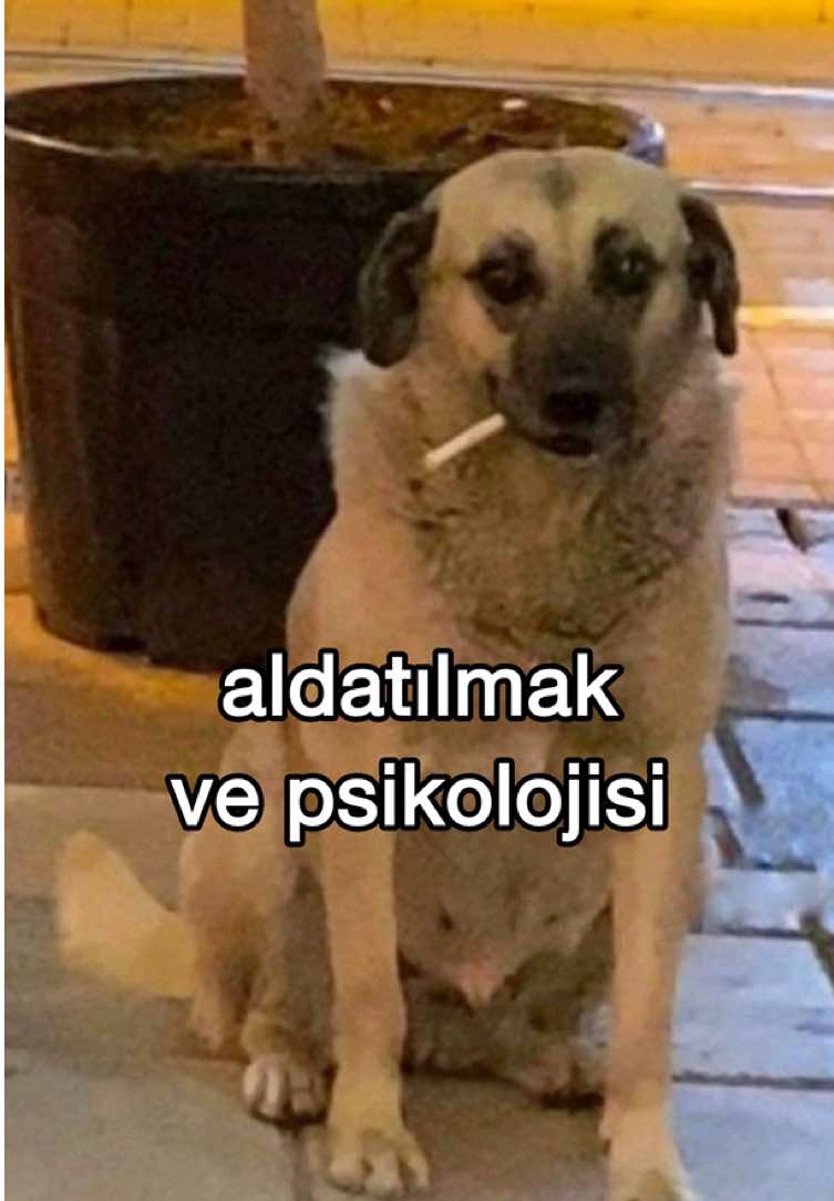 aldatılmak ve psikolojisi Aldatmanın ve Aldatılmanın Psikolojisi Aldatılmak… bir ilişkide en ağır yumruklardan biri. Çünkü mesele sadece “biri başkasına gitmiş” değil; aynı zamanda güven, değer, sadakat duygularının yerle bir olması. Peki insanlar neden aldatır? (Psikolojik nedenler) * Kaçış: İlişkinin sorunlarıyla yüzleşmek yerine “kolay yoldan” dışarıya yönelmek. * Onay ihtiyacı: Egoyu beslemek için başkasından ilgi aramak. * Bağlanma sorunları: Yakınlık kurmaktan korkup, kendini sabote etmek. * Dürtüsellik: “O anlık heves” kontrolsüzlüğü. * Doyumsuzluk: Sürekli daha fazlasını arama (aslında kendinden memnuniyetsizlik). Önemli not: Bu nedenler mazeret değildir, sadece psikolojik açıklamalardır. Aldatılmak nasıl hissettirir? * Travma gibi → şok, öfke, yas duygusu. * Özgüven sarsılır: “Ben yeterli değil miyim?” sorusu. * Güven duygusu zedelenir → yeni ilişkilerde kaygı, kıskançlık, şüphe artar. * Takıntılı düşünceler → “Nerede, kimle, nasıl oldu?” filmi kafada tekrar tekrar oynar. * Kaygı ve depresyon belirtileri görülebilir: uykusuzluk, iştahsızlık, hiçbir şeyden keyif alamama. Peki kalan kişi ne yapabilir? * Suçu kendine atma: Aldatmak = aldatanın seçimidir. * Duygularını yaşa: Bastırmak yerine öfkeyi, kırgınlığı kabul et. * Destek al: Arkadaş, aile, terapi → duygularını paylaş. * Sınır koy: Devam edip etmeme kararını verirken kendi değerini unutma. Ne zaman yardım alınmalı? * Uykusuzluk, iştah kaybı, kaygı hayatını ciddi etkiliyorsa * Kendini sürekli suçluyorsan * Güven sorunları ilişkilerini bozuyorsa * “Hayat anlamsız, hiçbir şeyin tadı yok” hissi varsa Bu noktada bir ruh sağlığı uzmanından destek almak çok önemli. Özet: Aldatmak = kişinin kendi psikolojik dinamikleriyle ilgili bir seçim. Aldatılmak = kalan kişide derin yaralar açsa da, doğru destekle iyileşmek mümkün. Senin değerini birinin yaptığı yanlış belirlemez. #psikoloji #uykusuzluk #aldatılmak #psikolojikdestek #terapi #bencepsikoloji #overthink #fyp #ruhsağlığı #kendinisev #ilişkiler #farkındalık #duygular #psikolog #stres 
