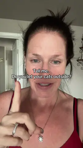 DO YOU LET THEM OUT!? I’ve got people coming for me for letting my cat out! Tell me what you think in the comments!#cats #catsoftiktok #Rachel🌹 #wally #cat 