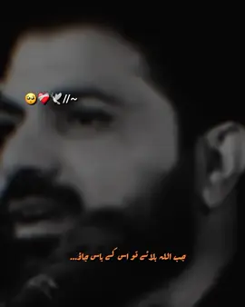 love -ali 🖤 #foryoupage #islamic_video #trendingvideo #playkidszone164 