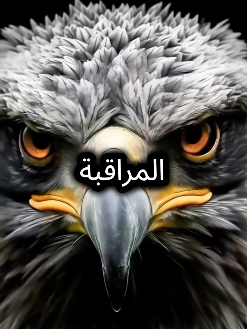 المراقبة أنواع منهم من يراقبنا حبا ومنهم من يراقبنا فضولا وهناك من يراقبنا حقدا#كلام_من_ذهب #اقتباسات_عبارات_خواطر #خواطر_للعقول_الراقية #اقوال_وحكم_الحياة #puredreams 