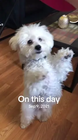 #onthisday 