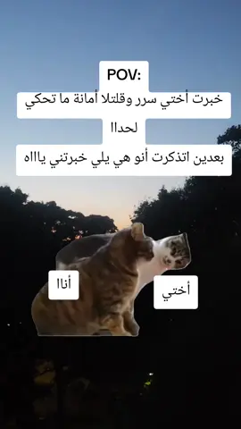 #CapCut #الشعب_الصيني_ماله_حل😂😂 #اكسبلور #foryou #viral 