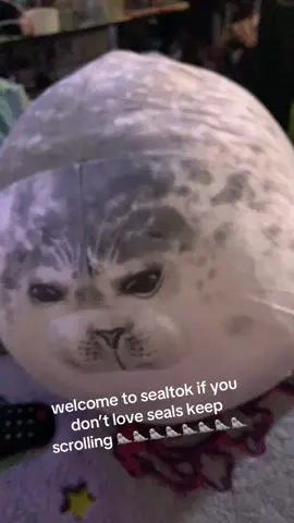 his name is harpy and i love him so much :p #seal #harpseal #sealtok🦭 #fypシ #xyzbcafypシ 