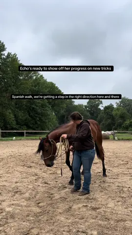 She’s so much fun to work with and has so much try. We’ll get it one of these days 😆 #maresoftiktok #echothemustang #trickpony #horsetok #coltstarting 