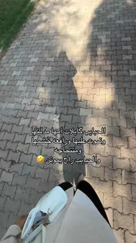 #مالي_خلق_احط_هاشتاقات 