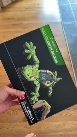 #christmasgiftidea #giftsforboys #giftideas #tiktokshopblackfriday #toygift 
