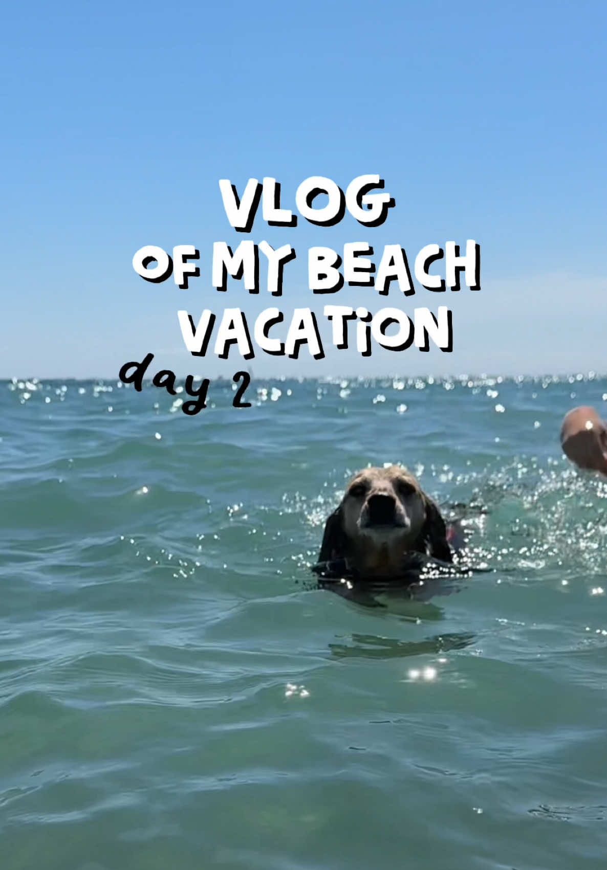 Day 2 of my beach vacation 🏖️ #minivlog #vacation #beach #dog #dachshund