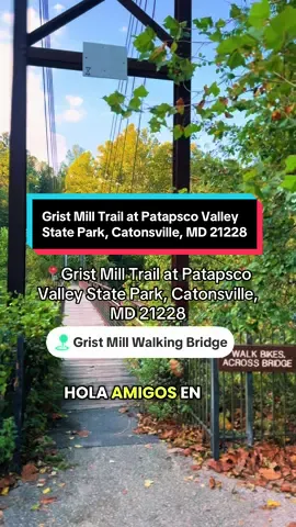 Visit this beautiful place to walk and enjoy nature 🍂 🌿🍃#nature #naturaleza #bridge #parati #fypツ 