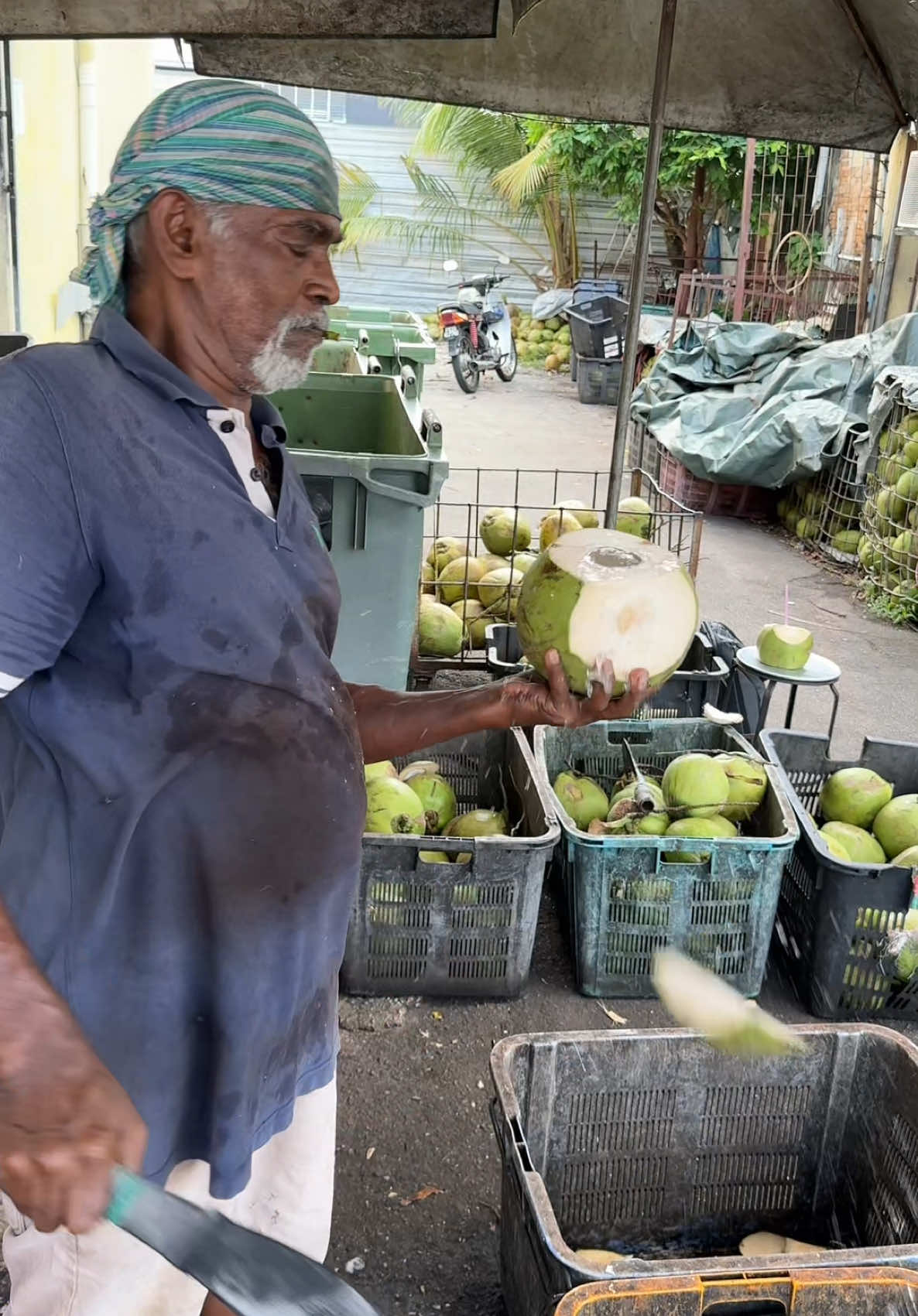 Only $1 Fresh Coconut Water - Fruit Cutting Skills - Malaysian Street Food #shorts #StreetFood #trendingvideo #FoodASMR #fyp 