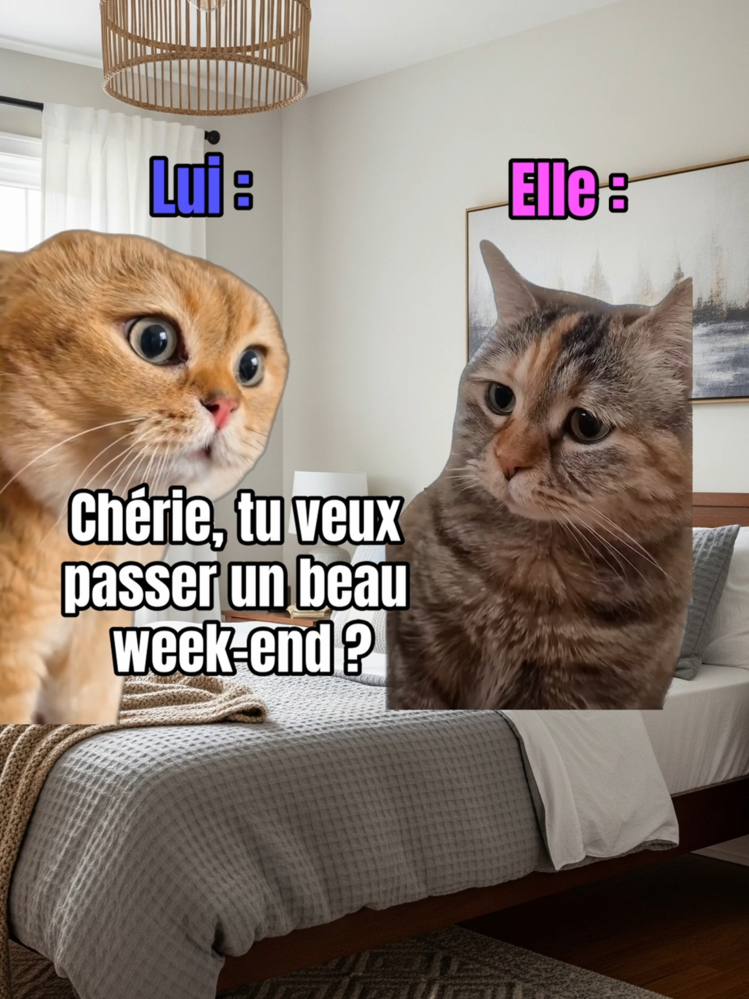 Quand il te propose un 