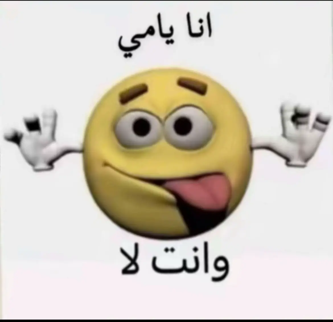 #نجران_الآن 