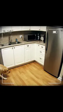 Special mission: fridge #morecla 