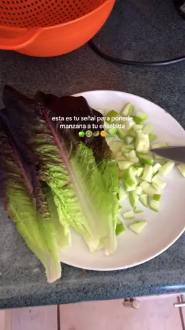 Ensaladas con manzana 🍏 >>>>>>> #comidasaludable #ensalada #deficitcalorico #healthyfood #recetassaludables 