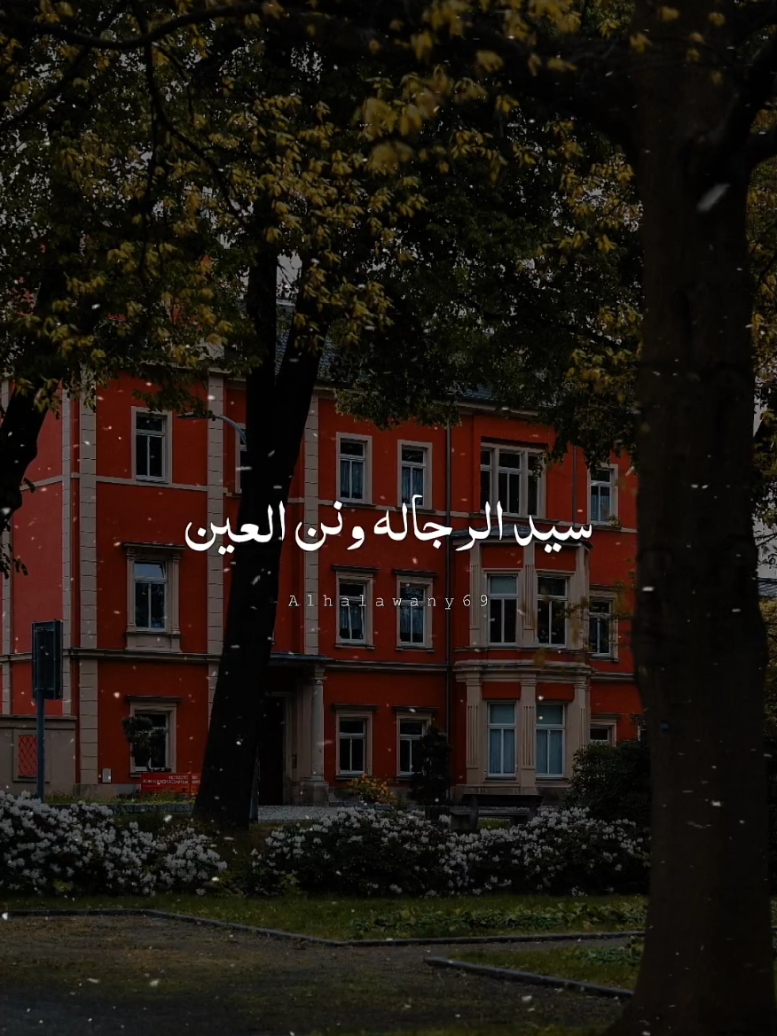 سيد الرجاله ونن العين 💙✨ #فارس_قطرية #شعر #fyp #تصميم_الحلواني🖤🎤 #حب 