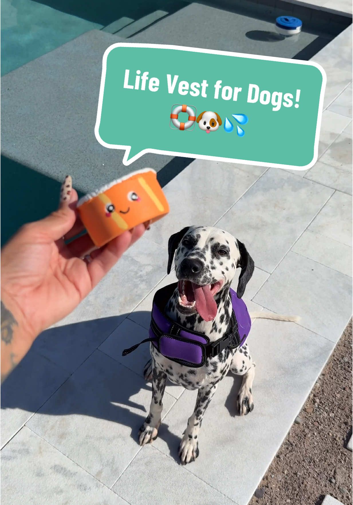 This vest is on a clearance sale rn! Only 500 Life Jackets left at $29 from the original price of $55 💦 Sale ends at the end of this month! 🐶 #Dalmatian #mudpuppy #lifevestfordogs #swimming #Summer 