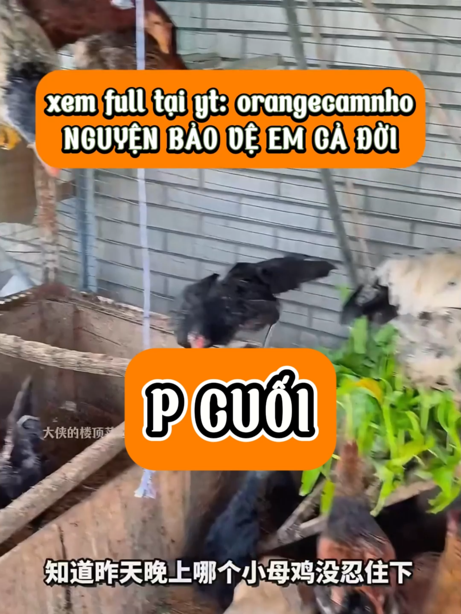 P CUỐI - NGUYỆN BẢO VỆ EM CẢ ĐỜI YT: ORANGE CAM NHỎ #xuhuong #xuhuongtiktok #orangecamnho #truyenaudio #truyenngan #trendingaudio#tiktokaudio #truyện #truyenhay #truyen