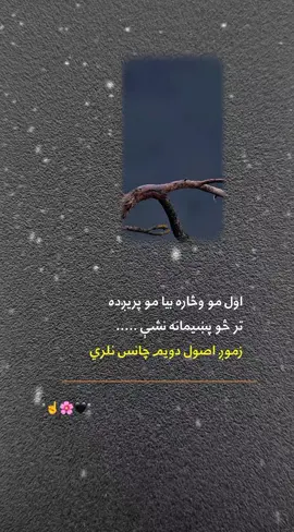 #creatorsearchinsights #fypシ゚viral🖤tiktok #viralvideo #afghanistan #creatorsearchinsights 