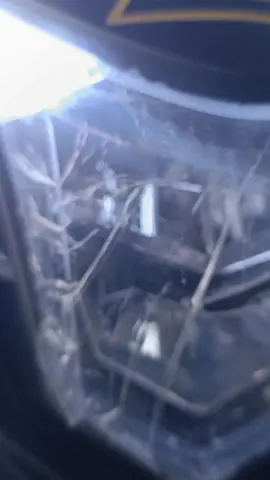 #شركةالرفيق🏍☑️اطمة الفخامه والاناقه عنوان تكن الرفيق الاصلي محرك 250+300