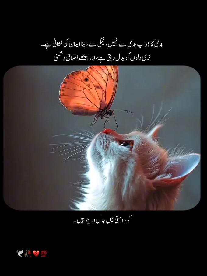 کبھی کسی کی تلخ بات دل کو چیر دیتی ہے، مگر یاد رکھیں، مومن کا ظرف وہ ہے جو بدی کے جواب میں نیکی کرے۔ قرآن ہمیں سکھاتا ہے کہ نرمی اور حسنِ اخلاق سے وہ دل بھی پگھل سکتا ہے جو سخت پتھر کی مانند ہو۔ دشمنی محبت میں بدل سکتی ہے، اگر ہم اپنے اخلاق کو بلند رکھیں۔ اسلام ہمیں یہ سبق دیتا ہے کہ نرمی، صبر اور سکون کے ساتھ جواب دینا ہی اصل طاقت ہے۔ برائی کا جواب برائی سے دینا آسان ہے، مگر اچھائی کے ساتھ جواب دینا ہی اصل بہادری ہے۔ نبی کریم ﷺ کی سیرت ہمیں یہی سکھاتی ہے کہ دشمنوں کے دل بھی محبت سے جیتے جا سکتے ہیں۔ اگر ہم اپنی زندگی میں اس قرآن کی آیت کو اپنائیں، تو دلوں کی نفرتیں ختم ہوں گی اور رشتے مضبوط ہوں گے۔ اچھے اخلاق سے ہی امتِ مسلمہ کا وقار بلند ہوتا ہے۔ یاد رکھیں، دنیا فانی ہے، لیکن آپ کے اچھے رویے اور نرم گفتاری کا اثر دلوں پر ہمیشہ قائم رہتا ہے۔🩶🥀🍂 #fyp #foryoupage❤️❤️ #islamic_video #growmyaccount✅ #unfreezemyaccount 