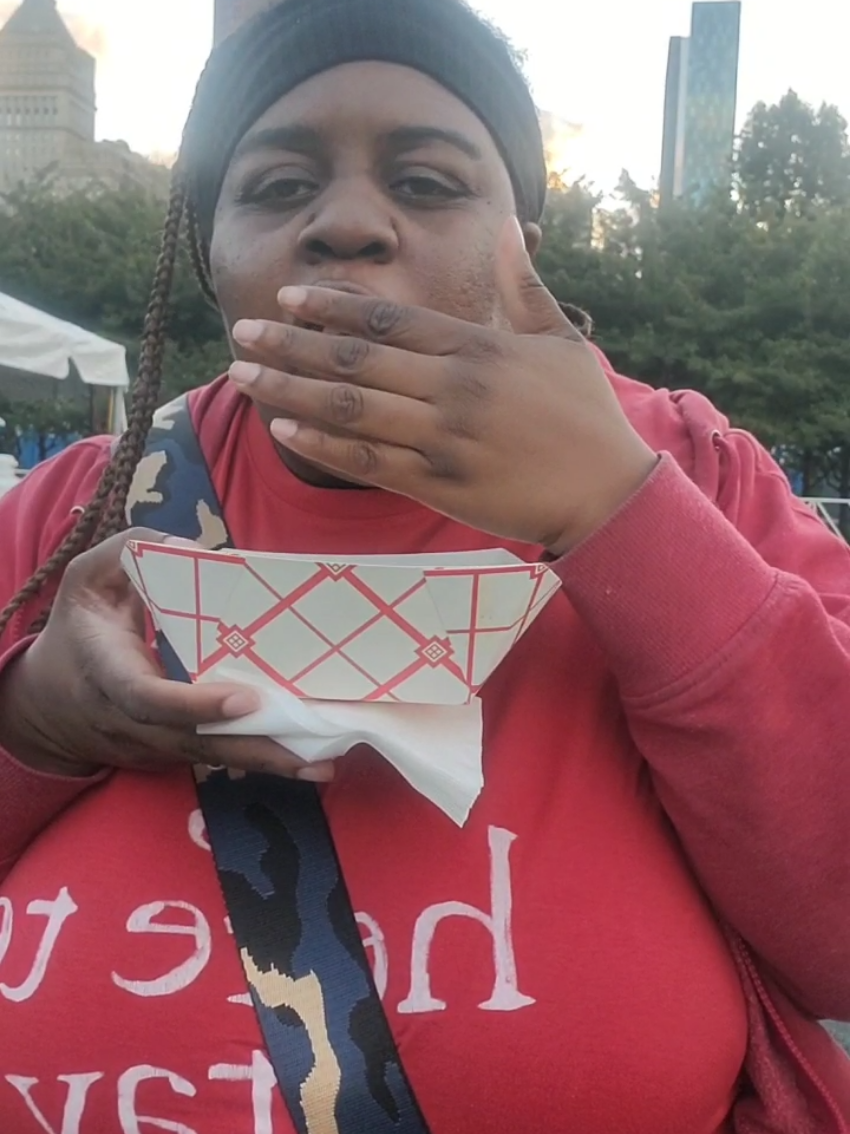Taste of Chicago Mini Vlog Day 1