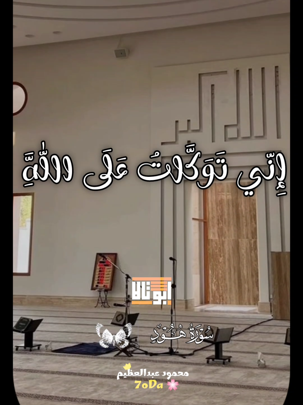 الله الله الله 🦩 ❤️  . . #الشيخ_حسن_صالح #سورة_هود #quran 
