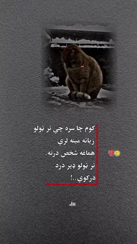 #viral #foryou #viralvideo #foryoupage #زړه_تنګون😢😭 #وخی 