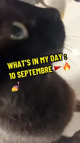 What’s in my day : 10 sept3mbre 🔥💅🚩 (Feat @MJCF.rhone)  (Gros bisous aux camarades de la Ligue de la Jeunesse Révolutionnaire) 