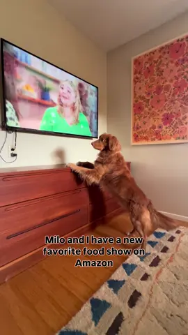 Have you guys seen the show “Dish it out?” @amazonmgmstudios The food on this show looks so good and @tillyramsay is such a good host! Let us know what your favorite episode is so far! Milo loves the bagels we made from the breakfast episode! #dishitout