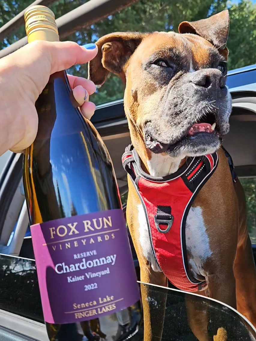 Wine-ability! #boandtytheboxerboys #boandty #botyjax #boxset 