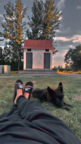 🖤🥲