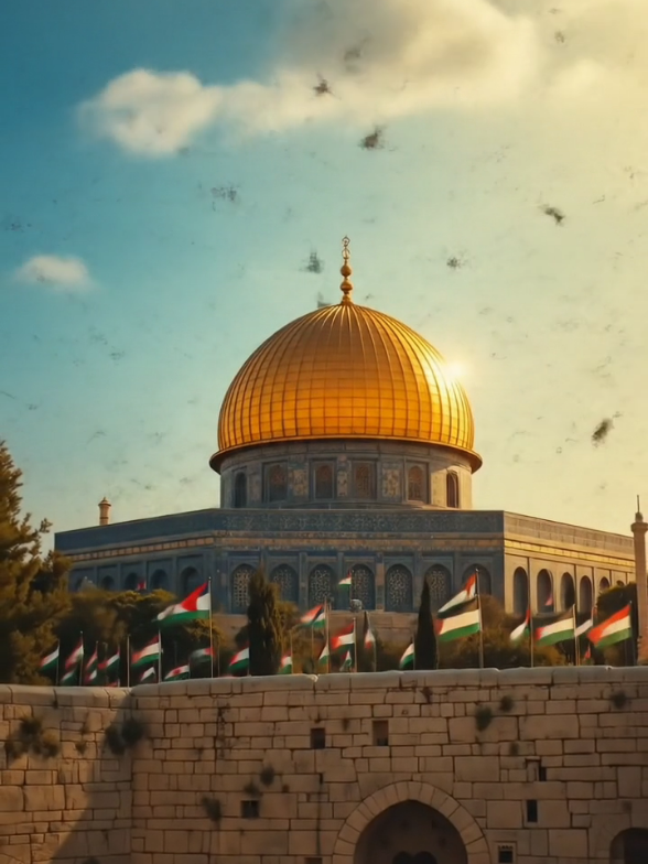 Pray for Palestine 🇵🇸  everyone write Ameen in comment 🥰🇵🇸 #voicesofsilence #200kviews #Palestine #palestine #masjidalaqsa 