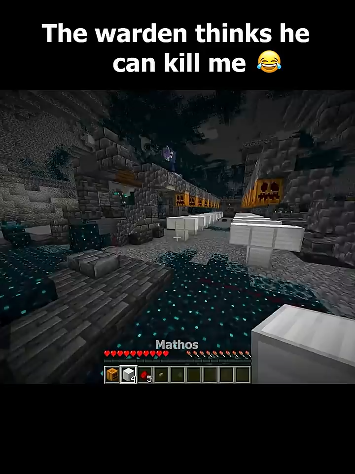 Mem Minecraft#minecraftbuilding #minecrafttutorial #minecraftmemes #minecraftanimation #Minecraft #meme #mem