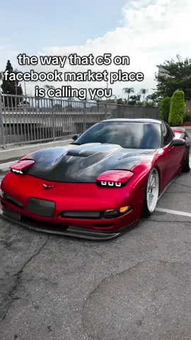 i fell into the trap 😂 #corvette #c5corvette #widebody #carbon #facebookmarketplace 