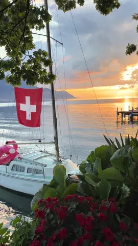 Peaceful vibes by the lake in Montreux 🌊✨ #Montreux #LakeGeneva #SwissRiviera #SwitzerlandTravel #VisitSwitzerland                 