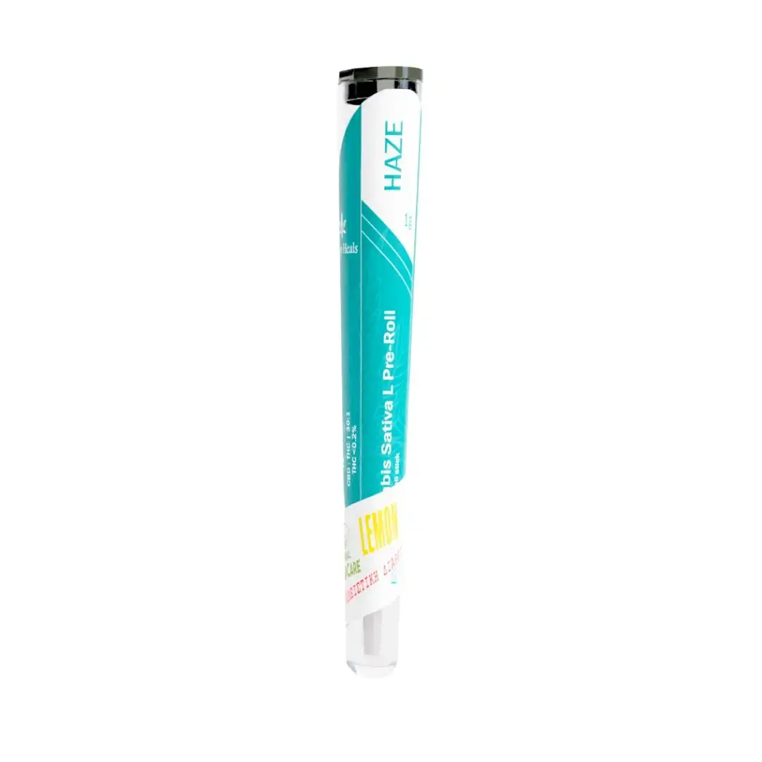 🌿 Lemon Haze – Preroll 1g & Ανθός 2g Ο Lemon Haze είναι μια ποικιλία που ξεχωρίζει για το έντονο, δροσερό άρωμα λεμονιού, με γλυκές και γήινες νότες που προσφέρουν μια αναζωογονητική εμπειρία. Ιδανικός για όσους αναζητούν ευχάριστη διάθεση, τόνωση και δημιουργικότητα. 🔹 Preroll 1g Έτοιμο για χρήση, χωρίς καμία προετοιμασία. Απολαύστε άμεσα το πλούσιο άρωμα και τη γεύση του Lemon Haze. 🔹 Ανθός 2g Η αυθεντική μορφή του Lemon Haze, με προσεκτικά καλλιεργημένους ανθούς που διατηρούν όλο το φυσικό του προφίλ. ✨ Χαρακτηριστικά: Γεύση & Άρωμα: Λεμόνι, γλυκές και γήινες νότες Αίσθηση: Τονωτική, ευχάριστη, ιδανική για χαλάρωση και διάθεση 100% φυσικό προϊόν Καλλιεργημένο χωρίς φυτοφάρμακα Ευρωπαϊκής προέλευσης #φυσικόπροϊόν #natura #nature #hashtag #health 
