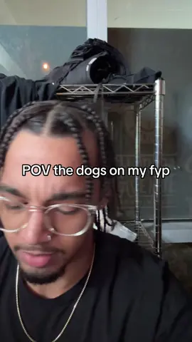 #trend #dogtok #fyp #fypシ 