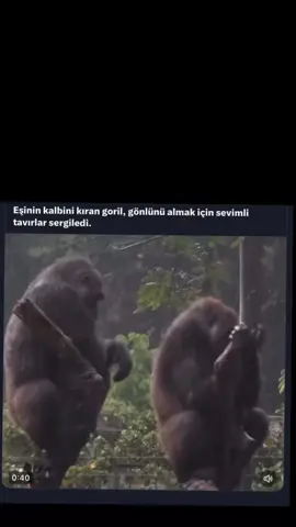 çabalamak ne kadar değerli 🙏  tüm canlılarda geçerli! 