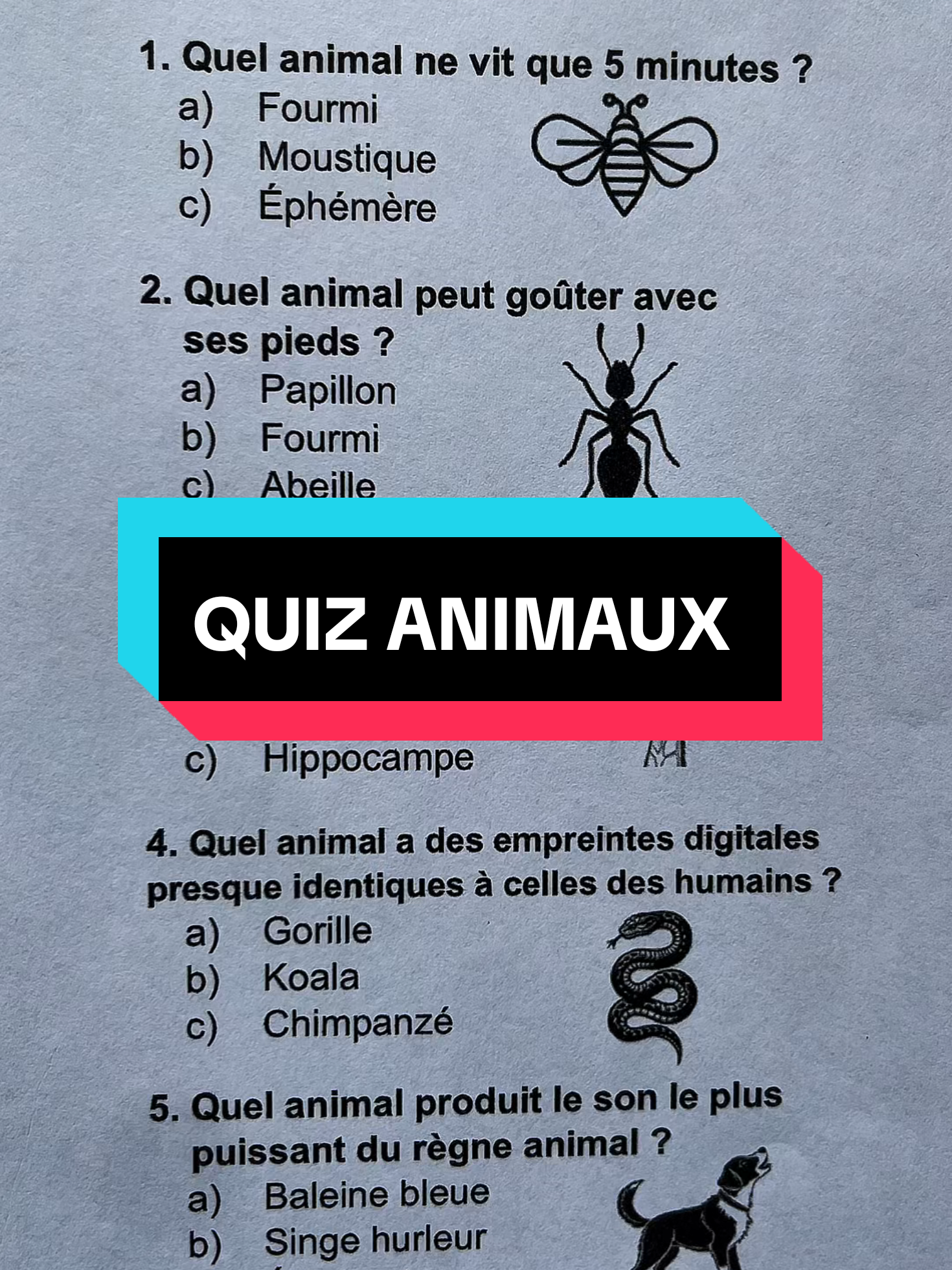 quiz sur les animaux, teste tes connaissances sur les animaux #quiz 